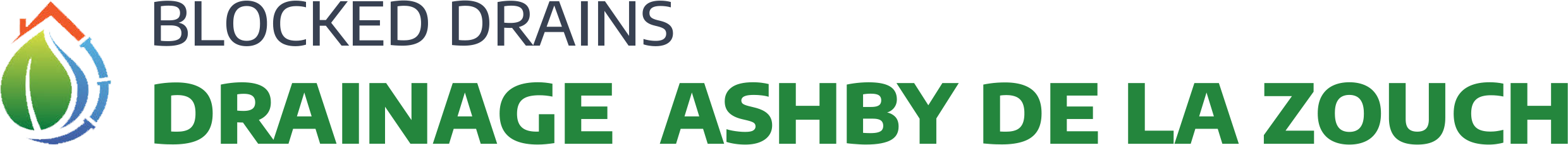 website logo